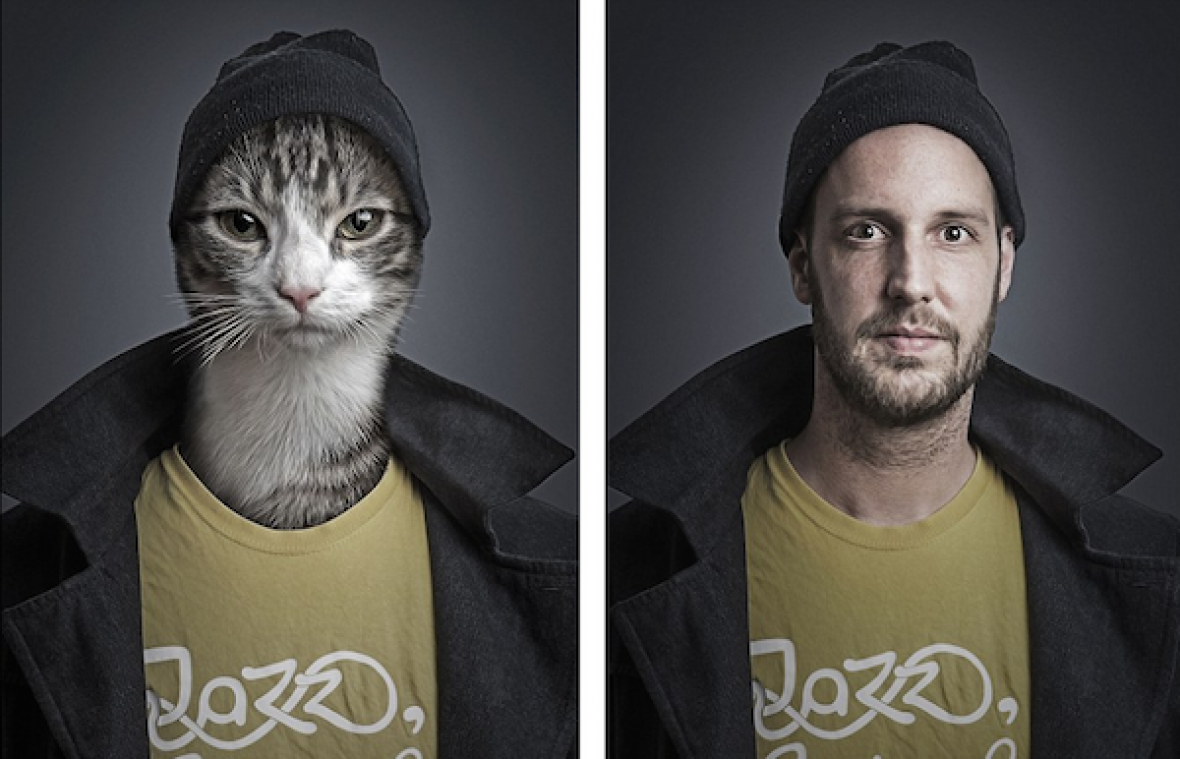 Deze fotograaf laat katten in de huid kruipen van hun baasje