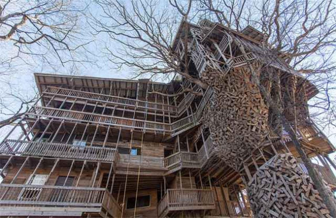 Dit is de grootste boomhut ter wereld
