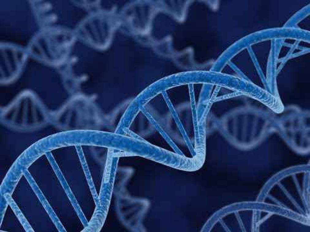 DNA Prins Philip moet laatste Russische tsaar identificeren