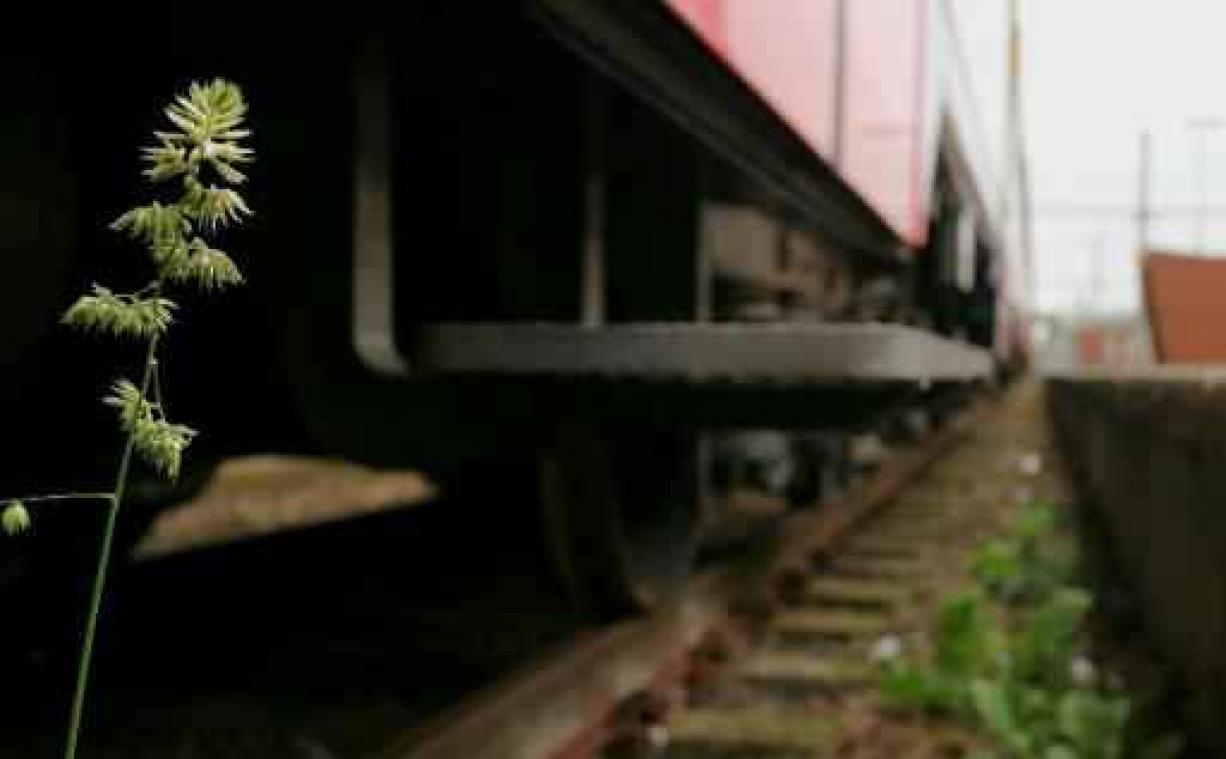 Stakers houden trein meer dan uur op in 's Gravenbrakel
