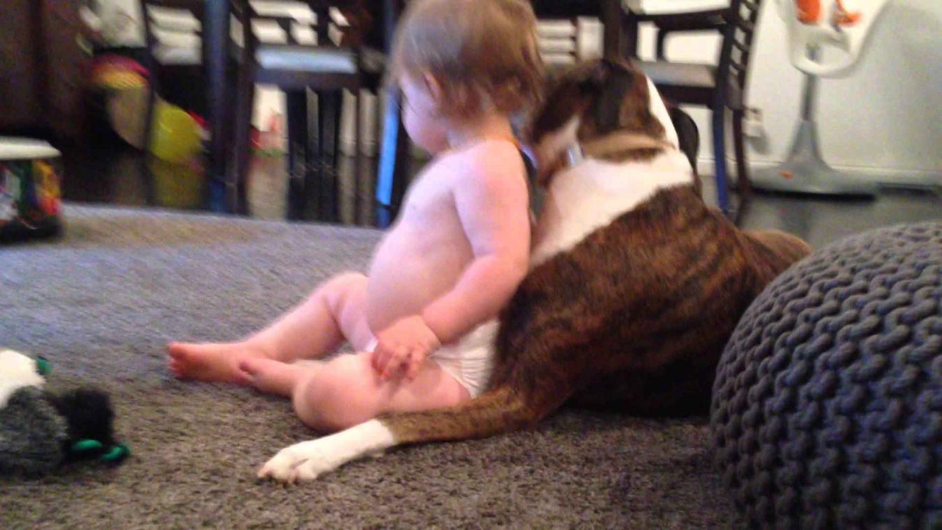 Hond geeft baby een bad