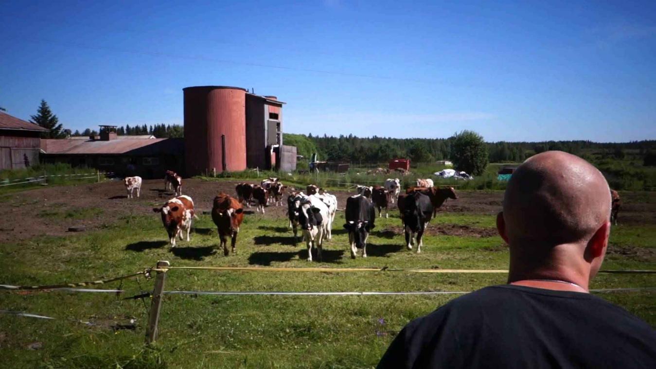 Rudi Rok is de enige echte animal whisperer