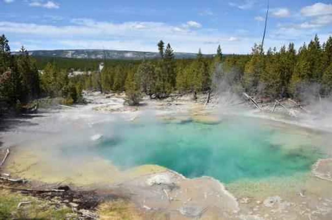Man verdrinkt in warmwaterbron in Yellowstone National Park