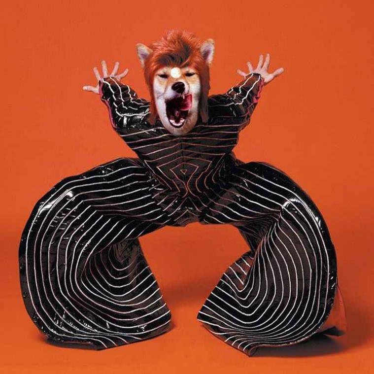 Baasje photoshopt hond tot popster