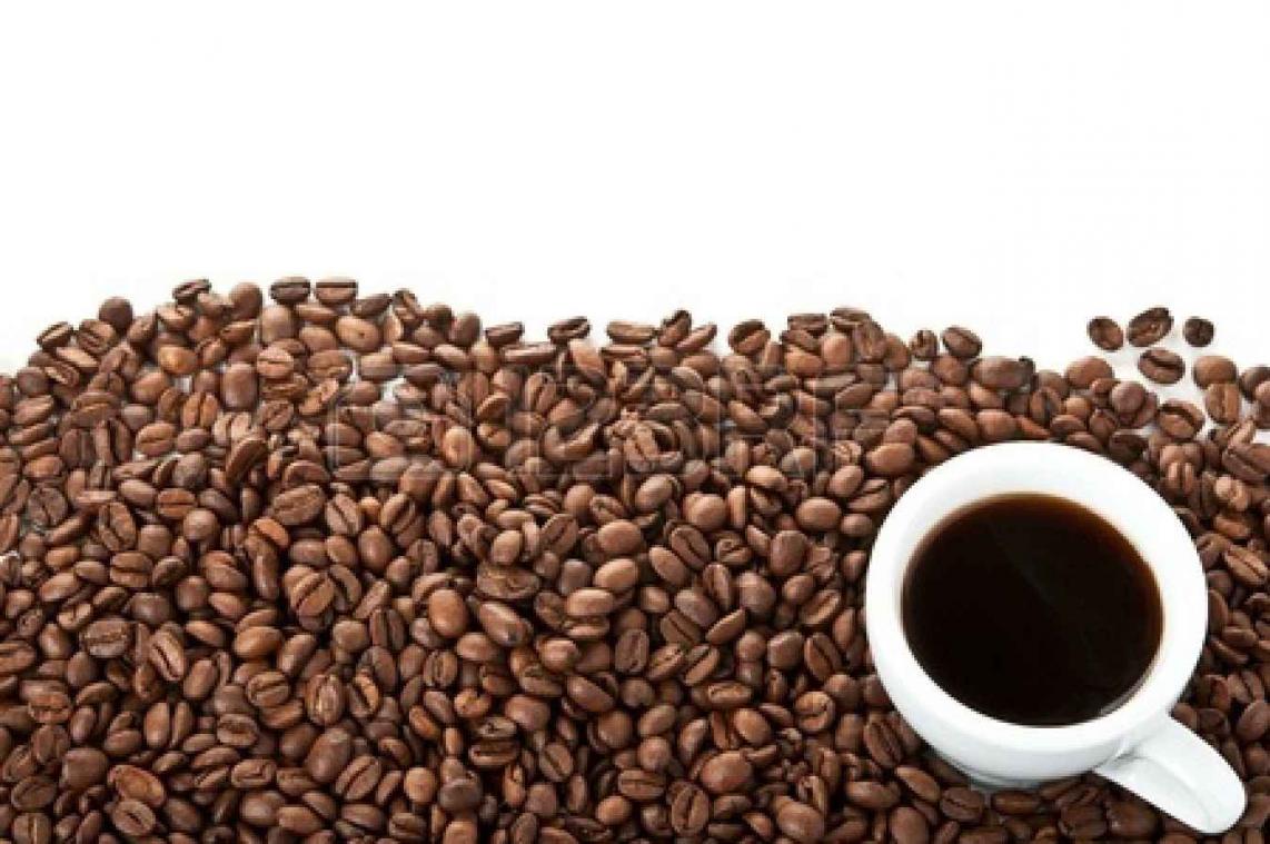 Over 50 jaar zijn we allemaal theedrinkers als de koffiebonen niet gered worden van de ziekte die hen bedreigt