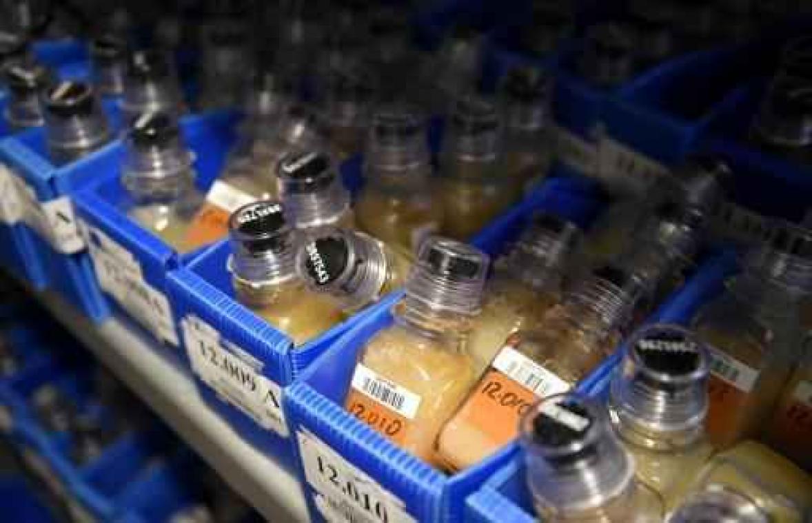 "Schorsing dopinglab Rio zal controles niet beïnvloeden"