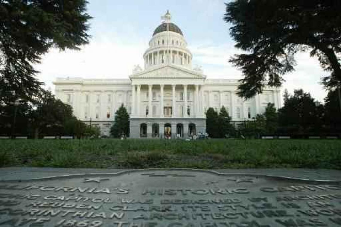 Zeven gewonden bij rellen tijdens manifestatie van neonazi's in Californië