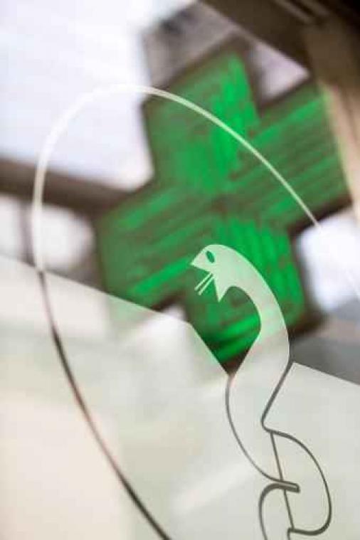 Kwart Belgen heeft Gedeeld Farmaceutisch Dossier