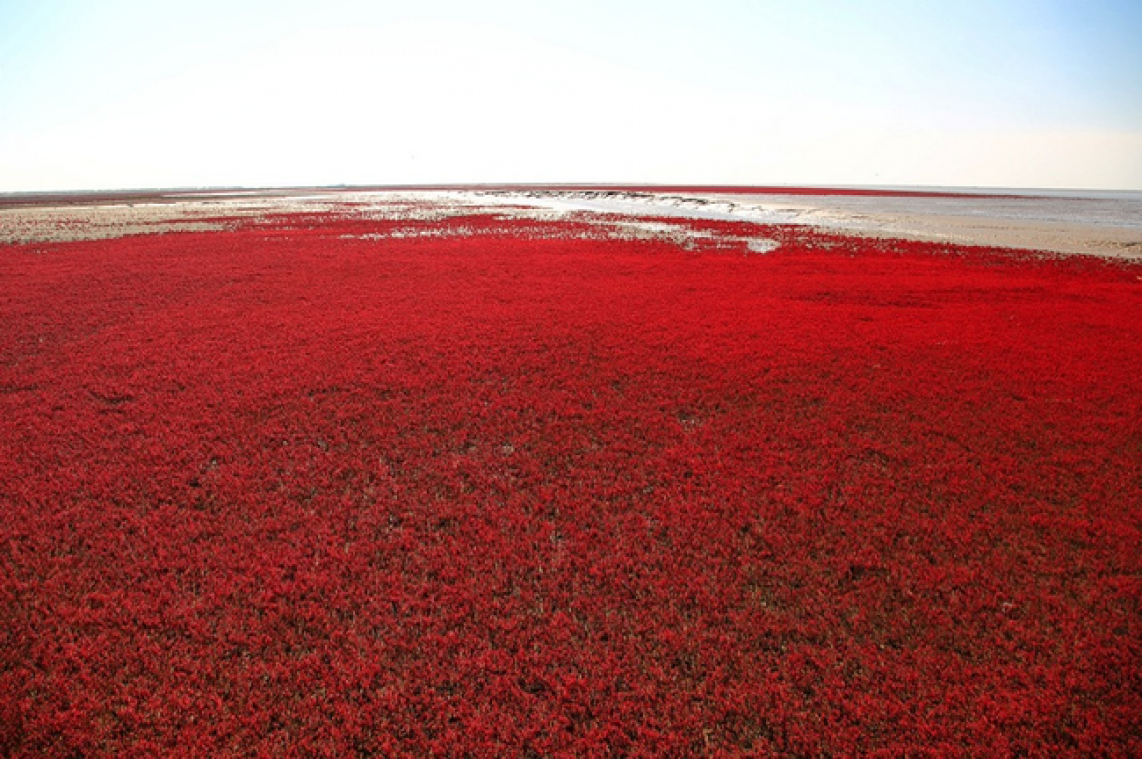 Dit strand is niet aangepast met Photoshop maar kleurt echt rood