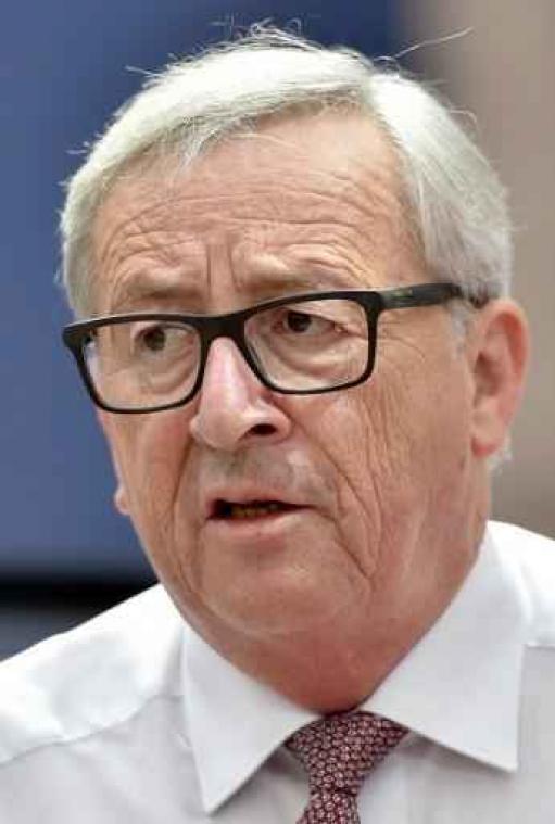 Brexit - "Ik dacht dat degenen die willen vertrekken een plan zouden hebben"