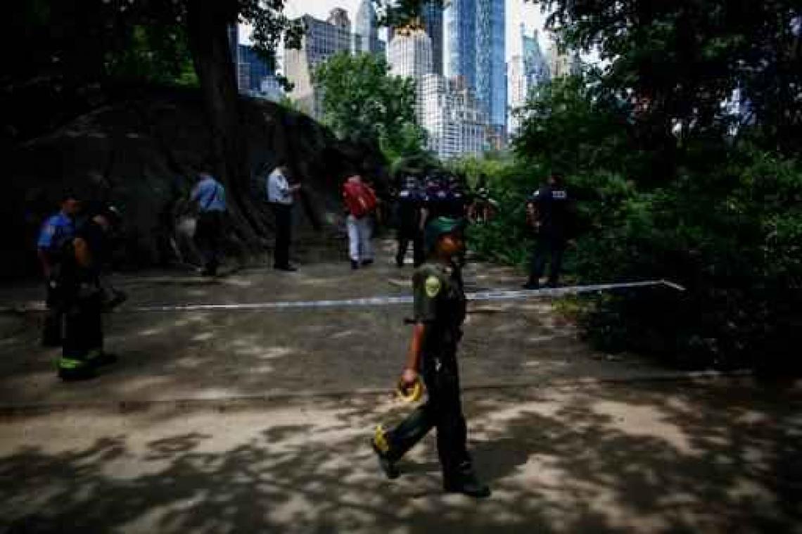 Tiener zwaargewond door explosief in Central Park in New York