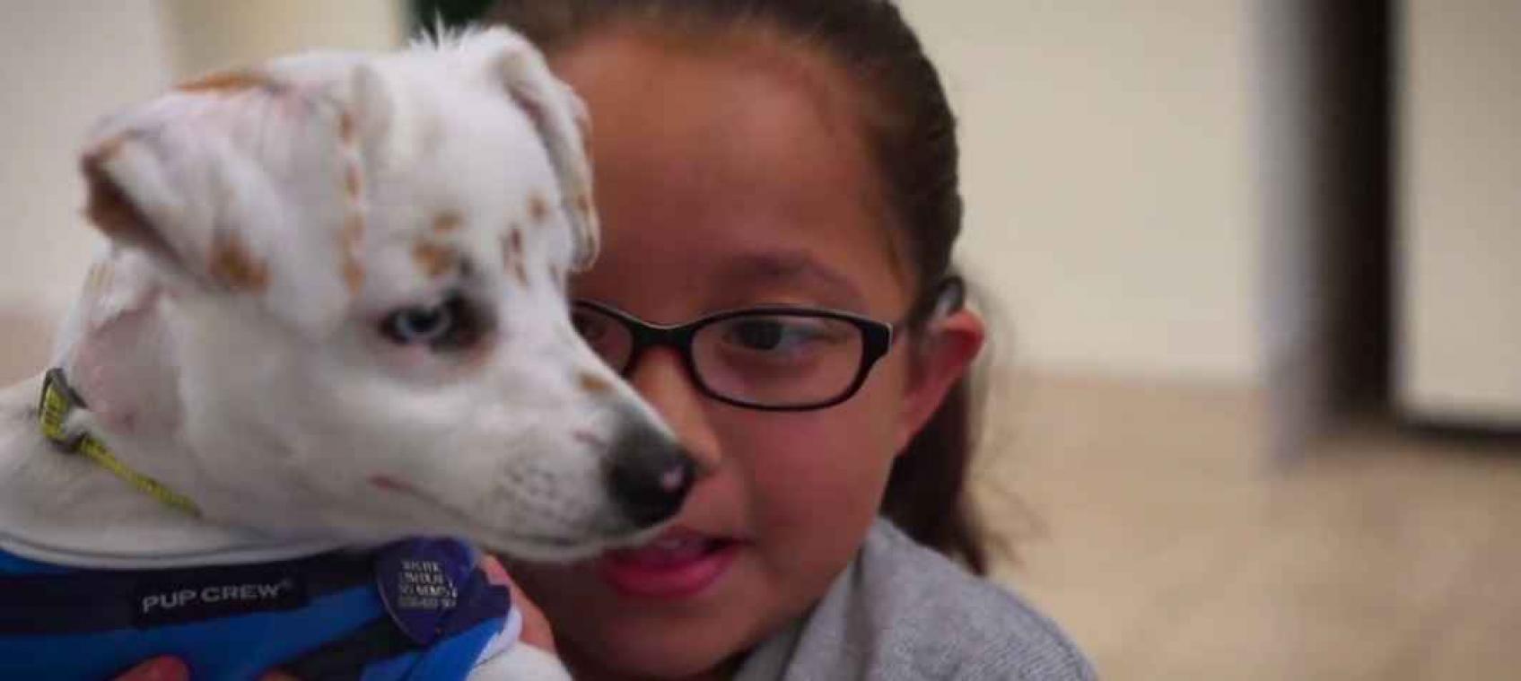 Doof meisje leert haar hond gebarentaal