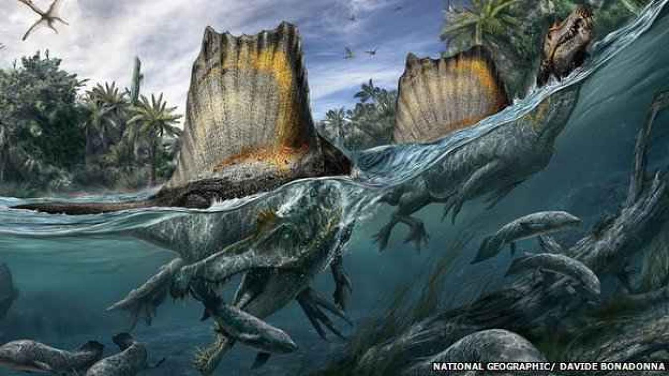 Gigantische zwemmende dinosaurus ontdekt