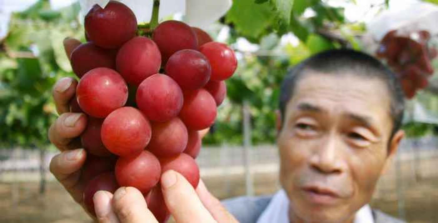 Japanse supermarkt betaalt bijna 10.000 euro voor een trosje druiven