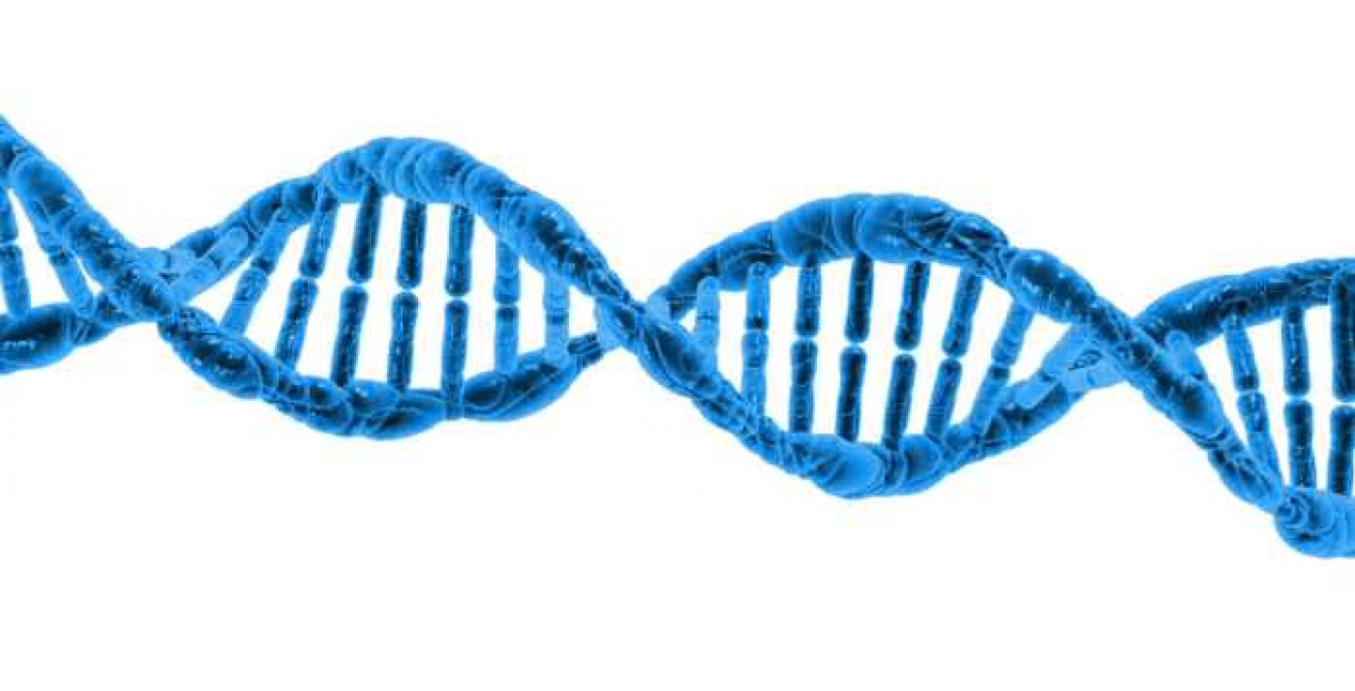 Wetenschappers bewaren muziekvideo in een beetje DNA