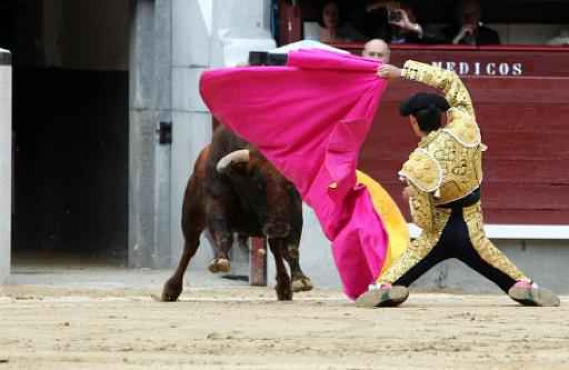 Stierenvechter gedood door stier in arena in Spanje