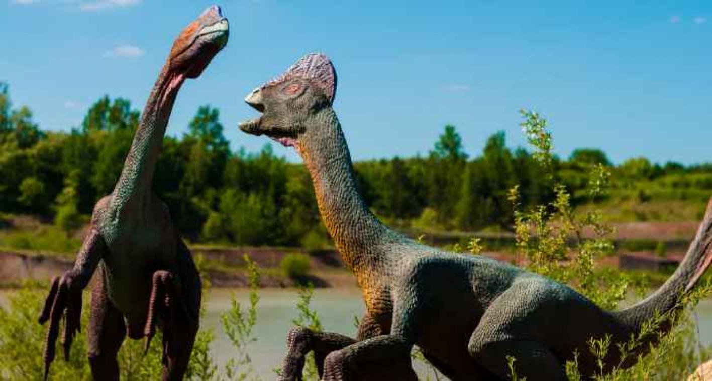 Dinosaurussen communiceerden mogelijk als duiven