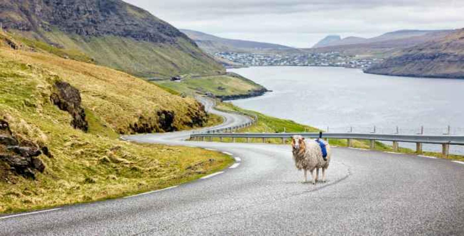 De Faeroër pakken uit met schaapachtige Street View