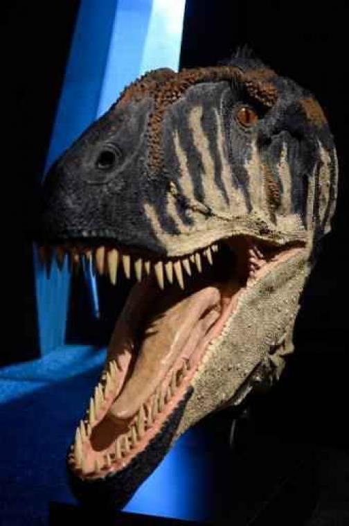 Nieuwe theorie: dinosauriërs gingen in rook op