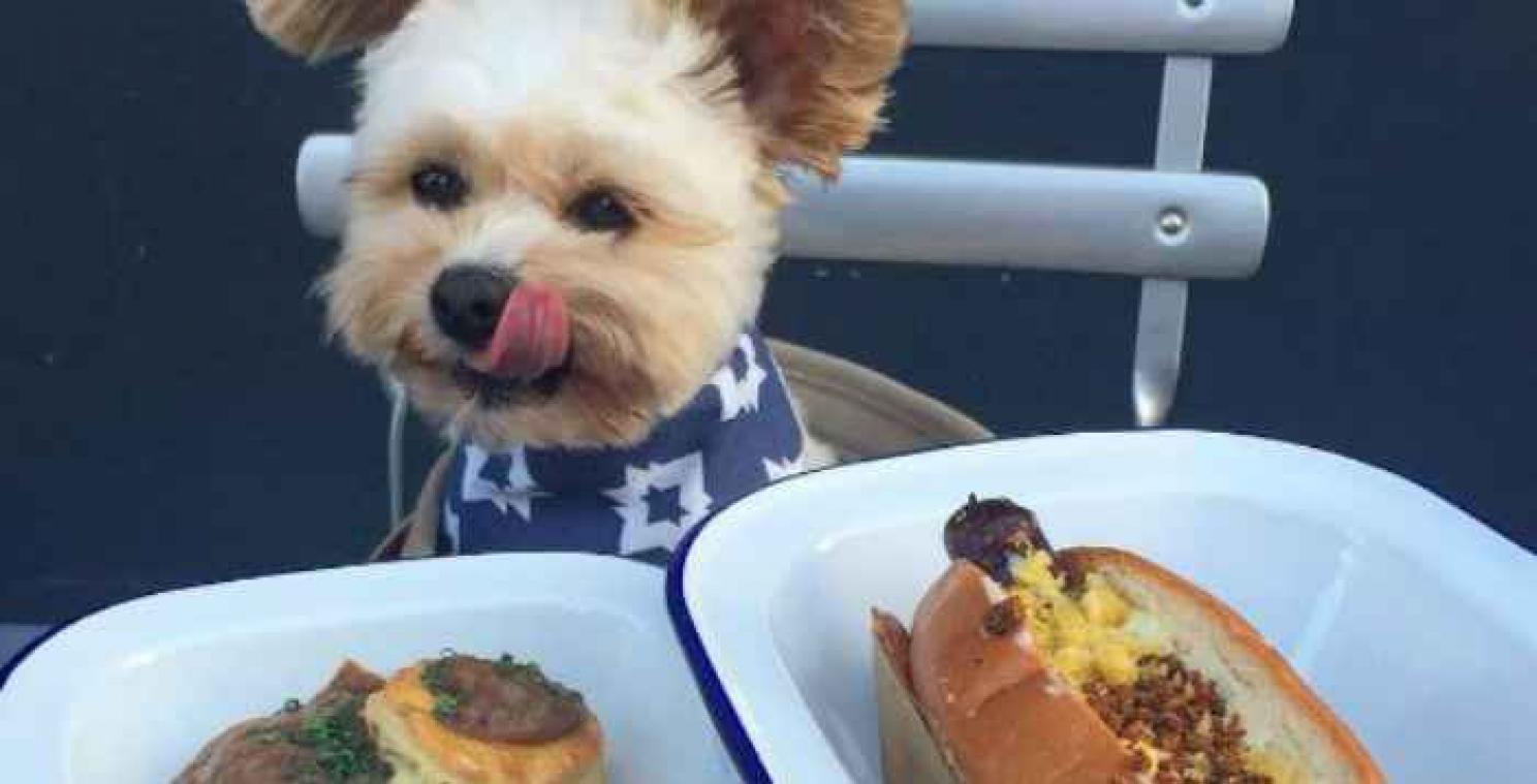 'Foodie hond' maakt furore op Instagram