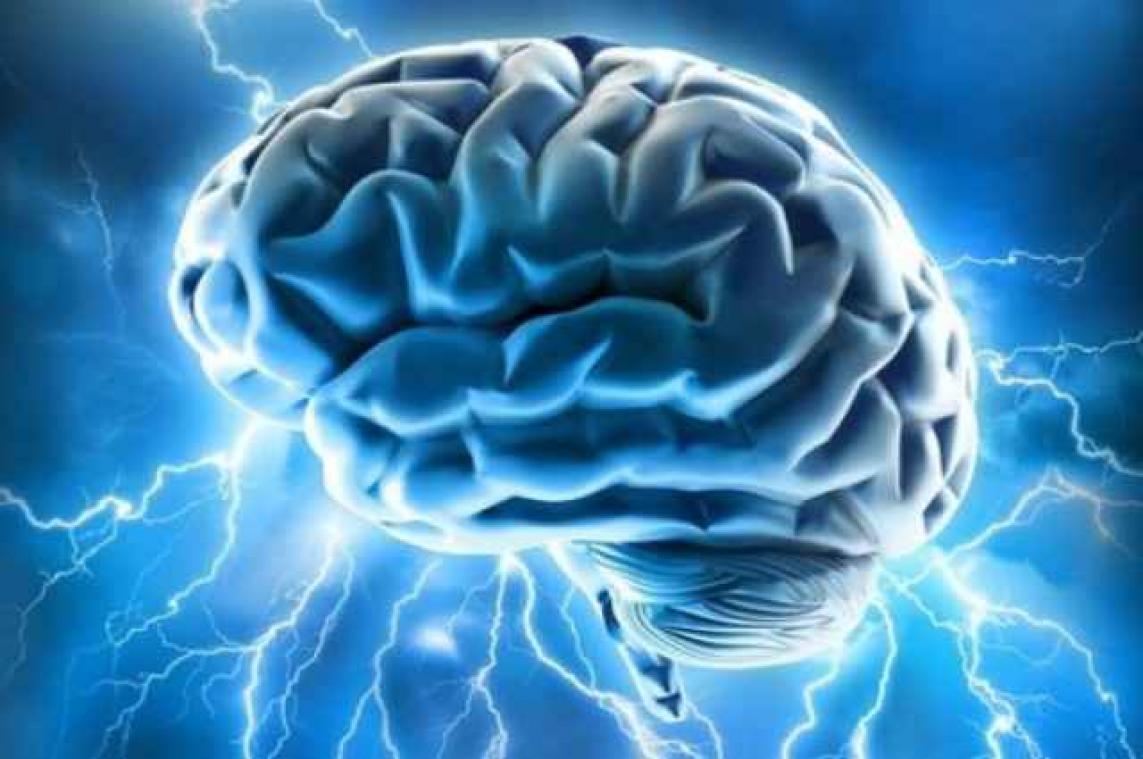 Je wordt als egoïst of altruïst geboren volgens een nieuwe studie