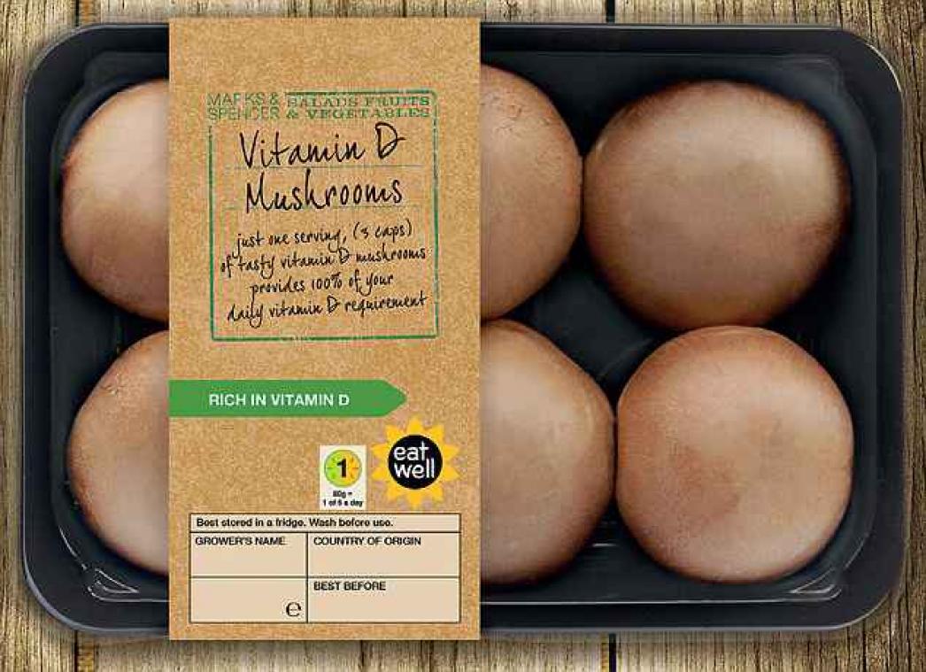 Dankzij deze revolutionaire paddestoel krijg je genoeg zonlicht binnen