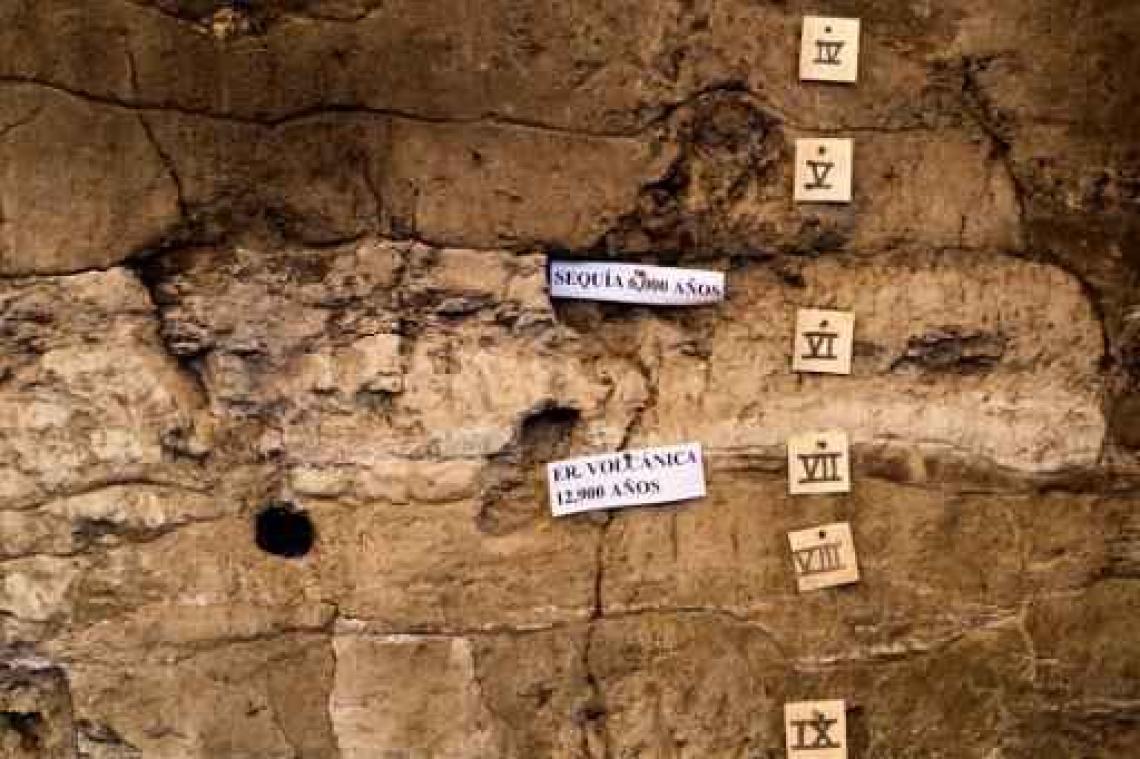 De laatste mammoeten van Alaska stierven 5.600 jaar geleden van dorst