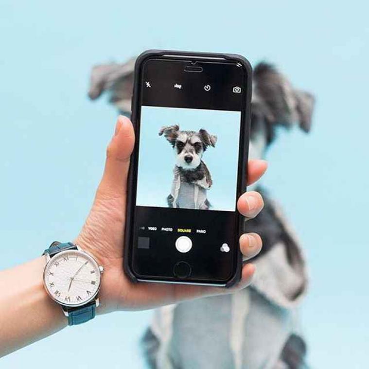 Hou je viervoeter fit dankzij nieuwe fitness-app voor honden