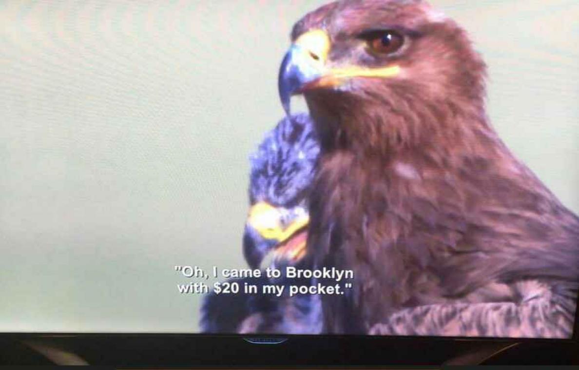 Netflix zet per ongeluk ondertitels van zaalshow komiek onder natuurdocumentaire