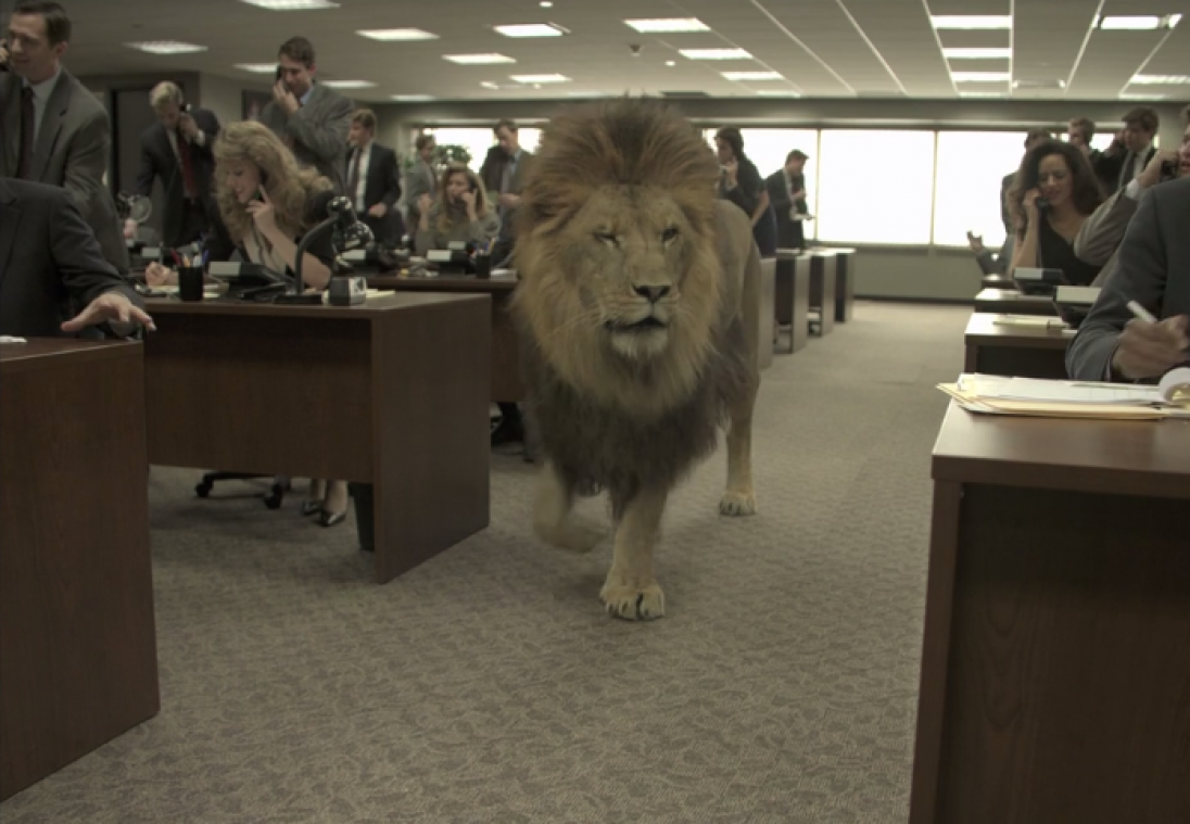 Effecten surreële scènes uit 'The Wolf of Wall Street' toegelicht