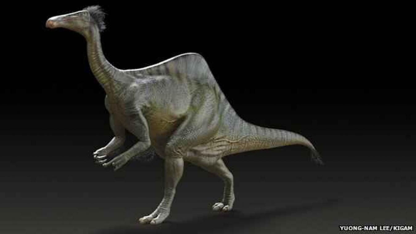 Dinosaurusmysterie na 50 jaar opgelost