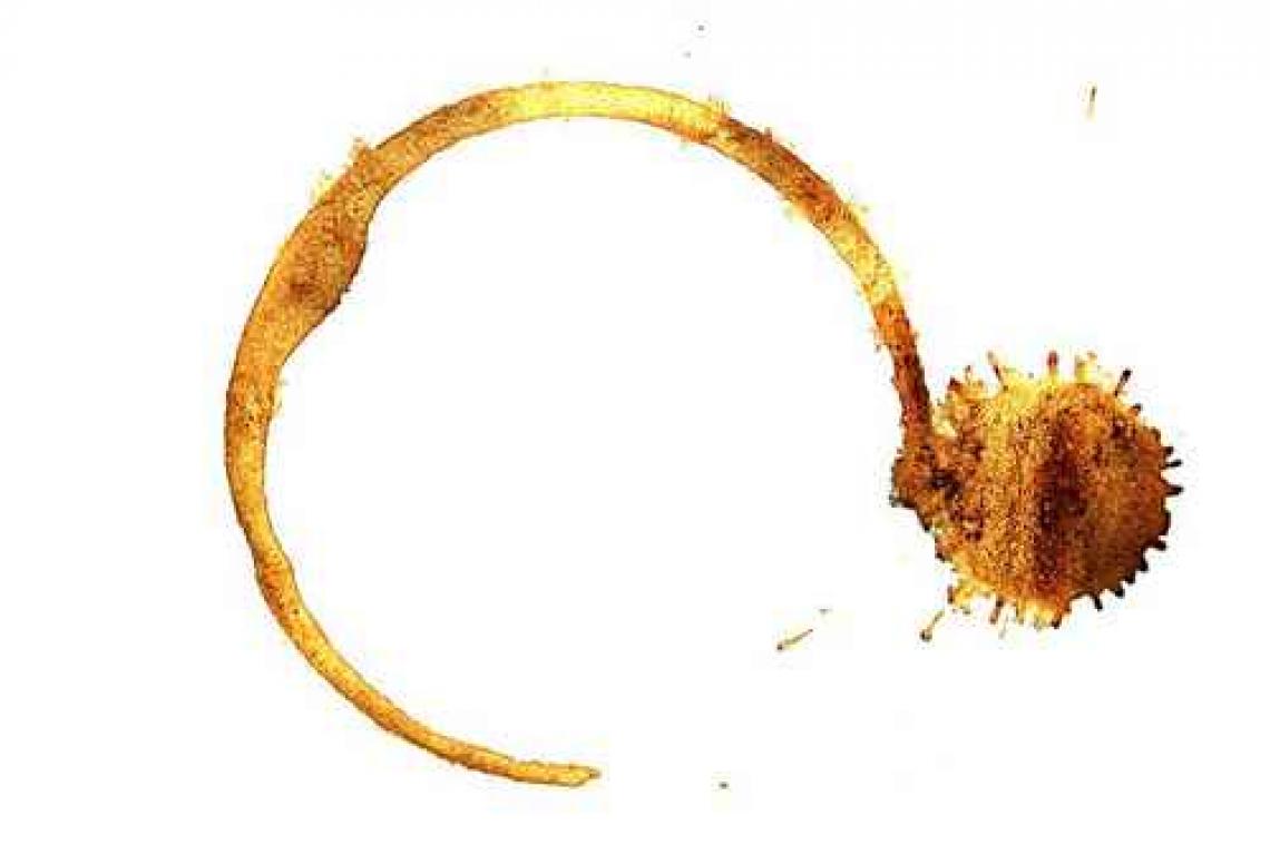 Science says: zo mors je het minste koffie