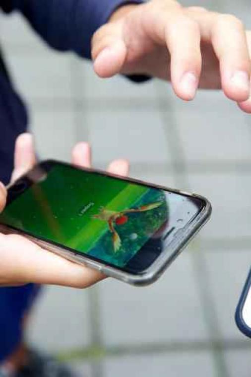 Geen problemen meer voor Proximus-spelers van Pokémon GO