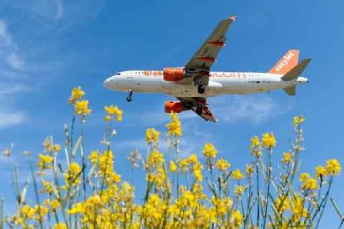 EasyJet-vluchten geannuleerd door staking