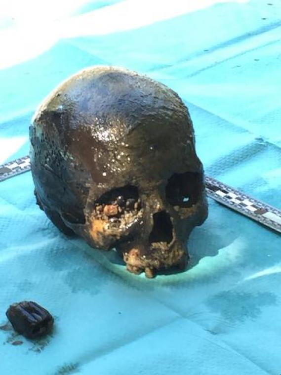 Eeuwenoude schedel opgevist uit Dijle in Leuven