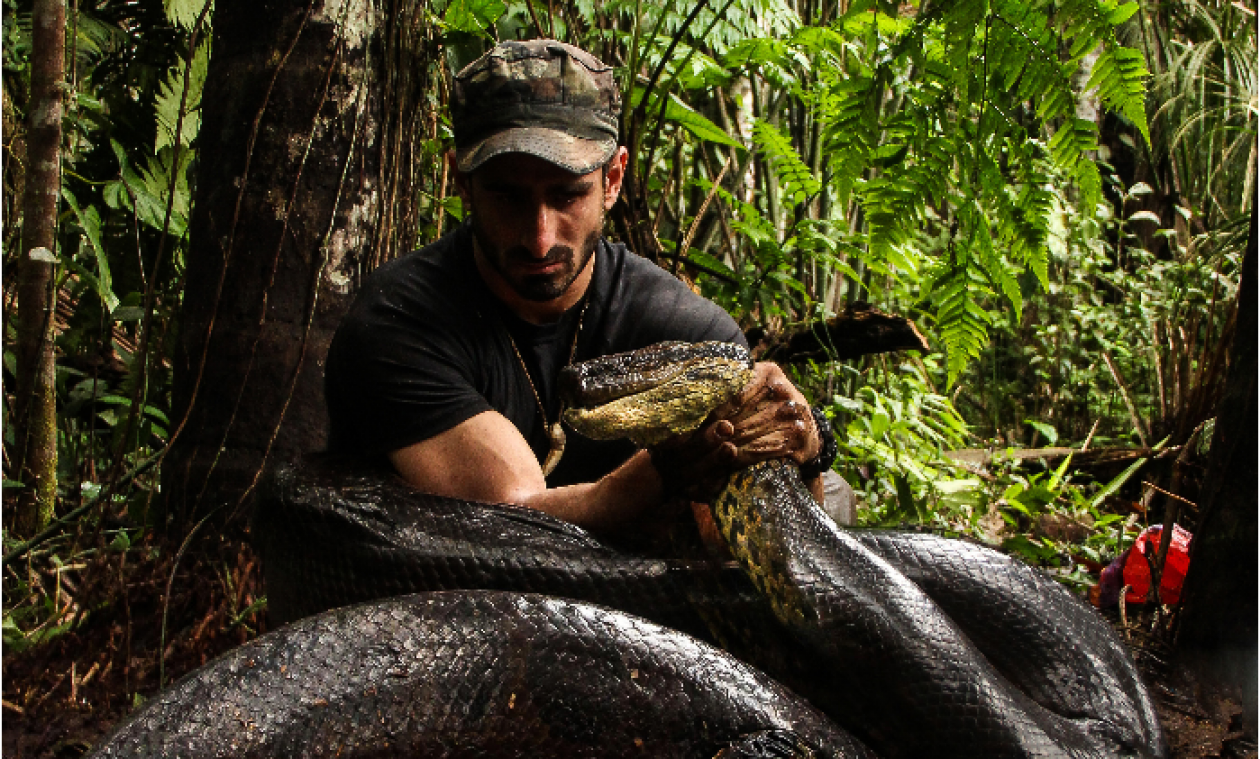 Man laat zich levend opeten door anaconda voor experiment