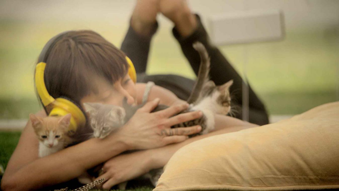 Gestresseerd? Probeer dan eens 'Kitten Therapy'