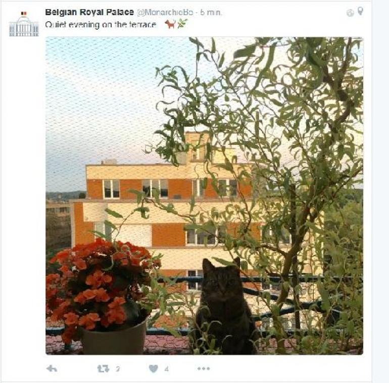Verwijderde tweet van Paleis blijkt niet van Paleis te komen