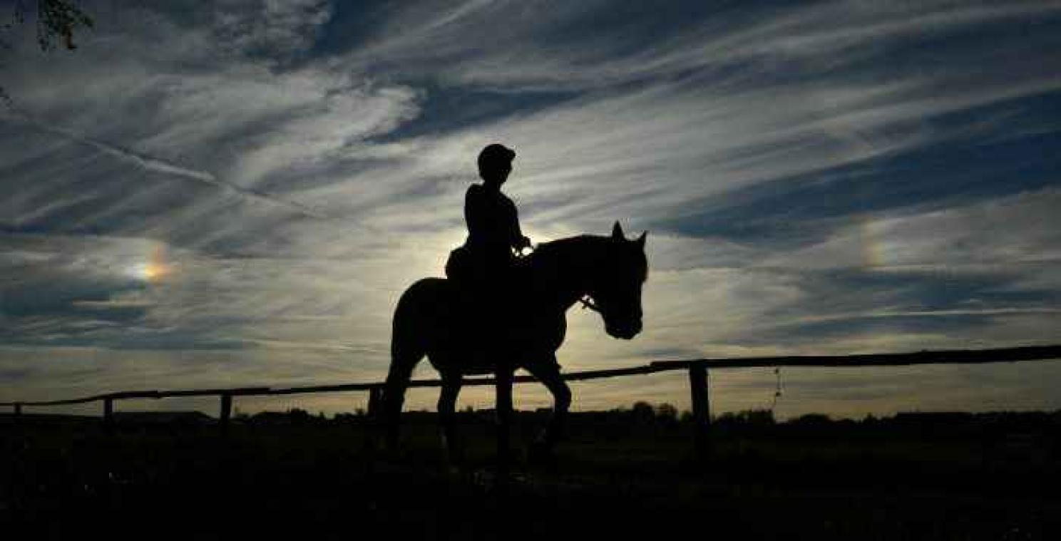 Het paard komt oorspronkelijk uit India