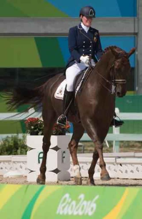 Paralympische Spelen - Ciska Vermeulen mist freestyle wegens blessure Rohmeo