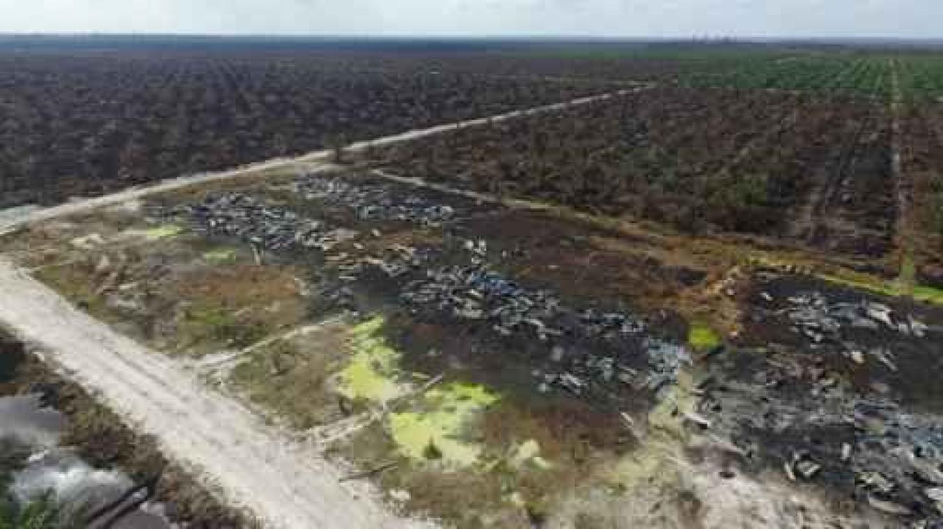 Rook bosbranden veroorzaakt 100.000 voortijdige overlijdens in Zuidoost-Azië
