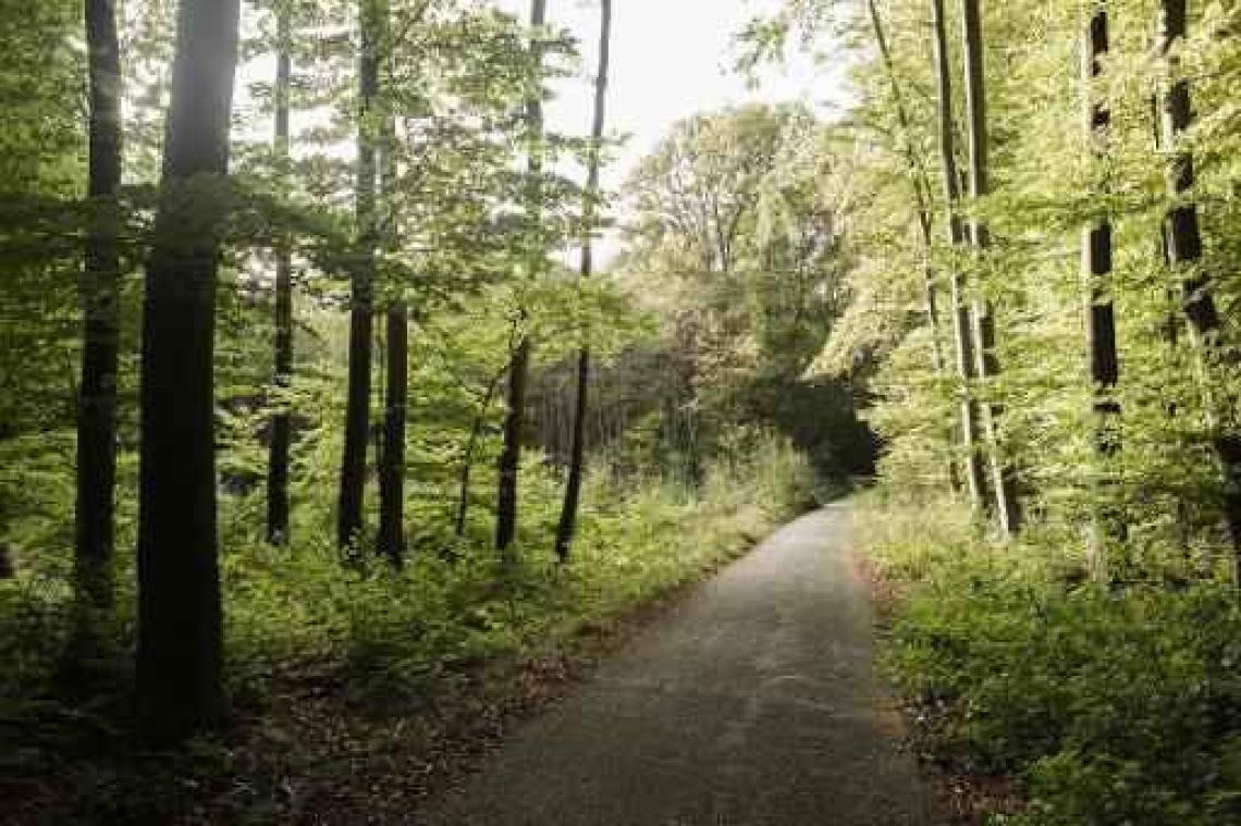 Lokale zwaartekracht in bosrijk gebied verandert wanneer water in bos verdampt