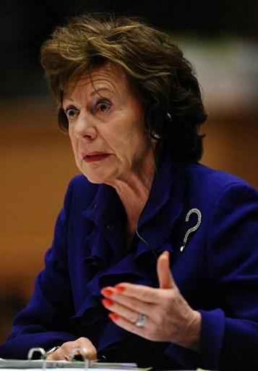 Ex-eurocommissaris Neelie Kroes duikt op in Bahama's Leaks