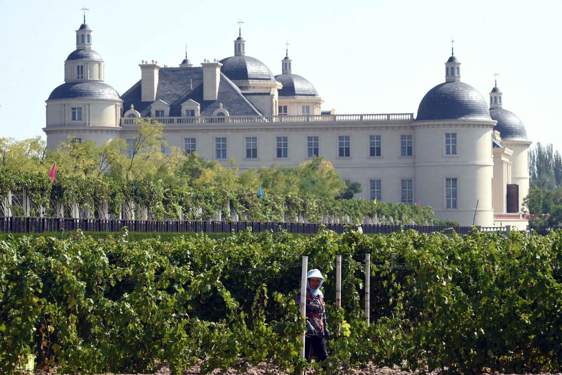 China stuurt wijnranken naar de ruimte