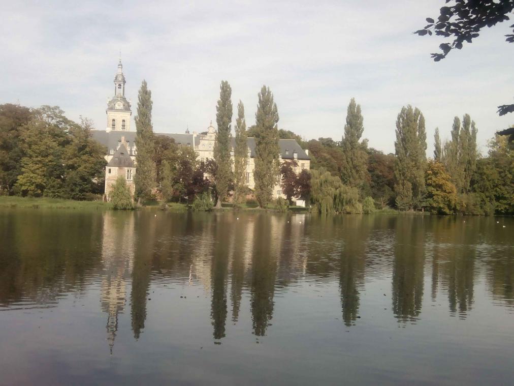 Gluren over de taalgrens