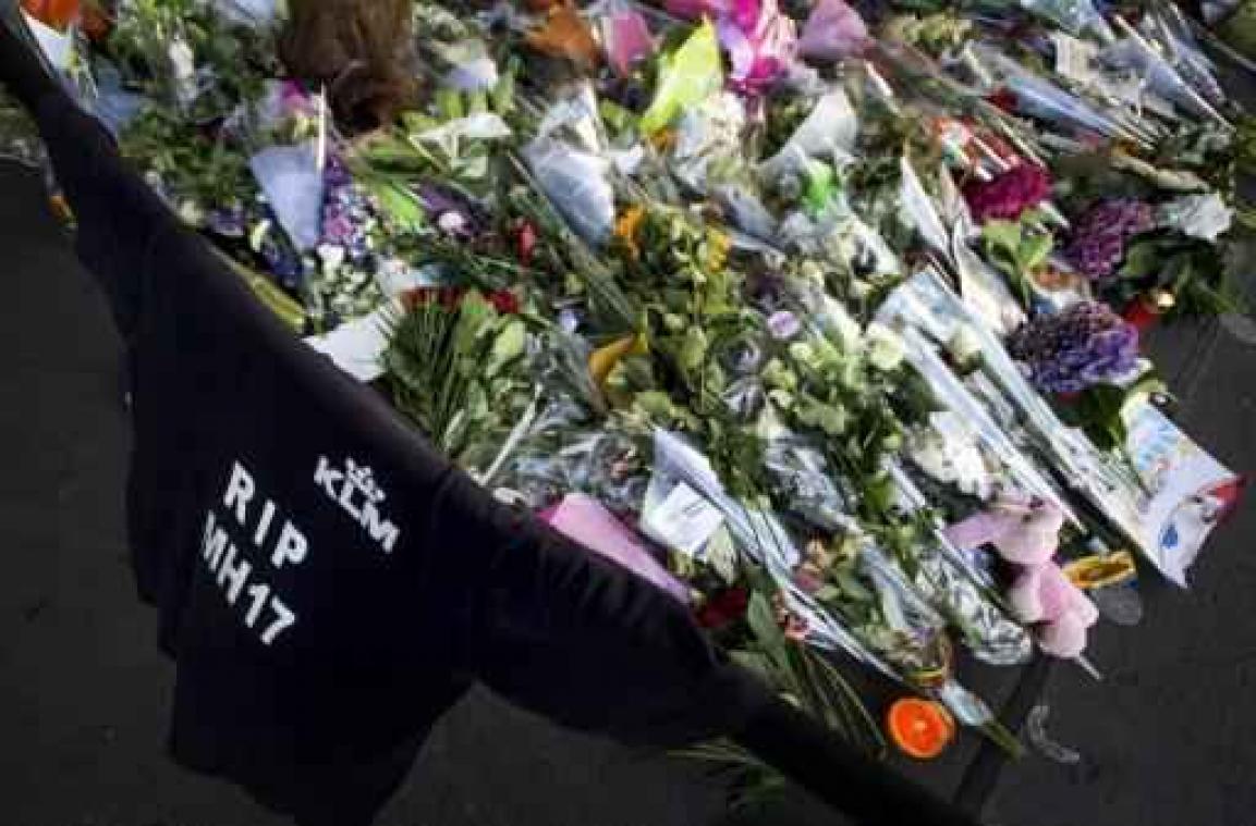 Crash MH17 - Geen raket uit pro-Russisch gebied vertrokken