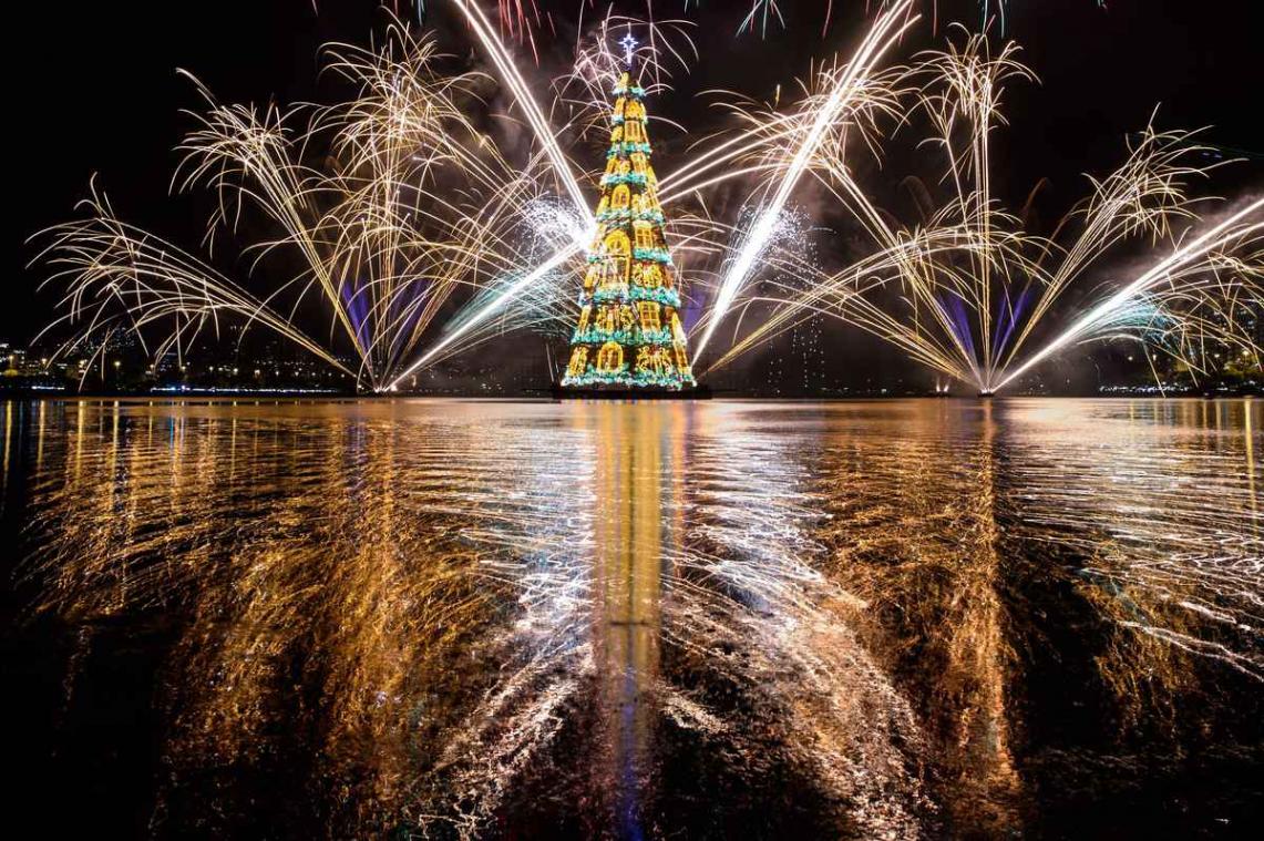 Dit zijn de mooiste kerstbomen van 2014