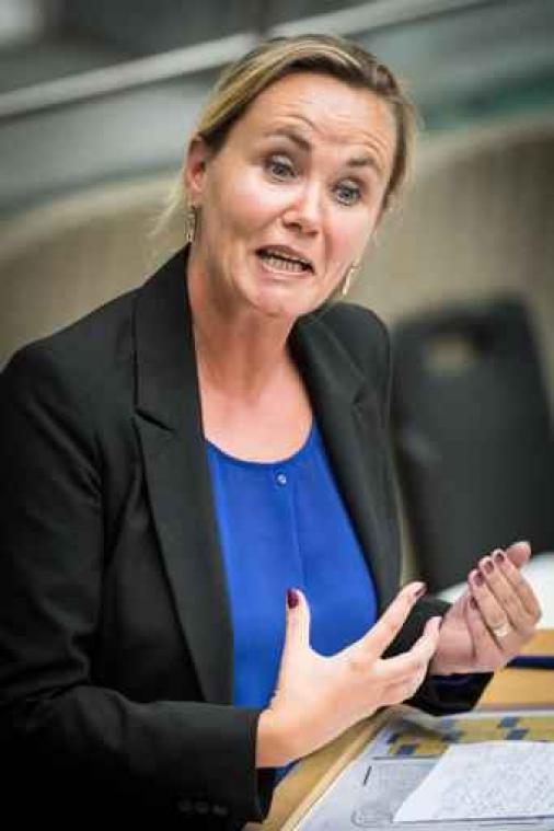 Sp.a vreest voor jobverlies in sociale economie - "Paniekzaaierij", zegt Homans