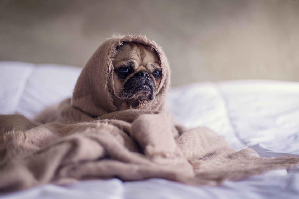 Dankzij dit gadget steelt je bedpartner nooit meer je laken