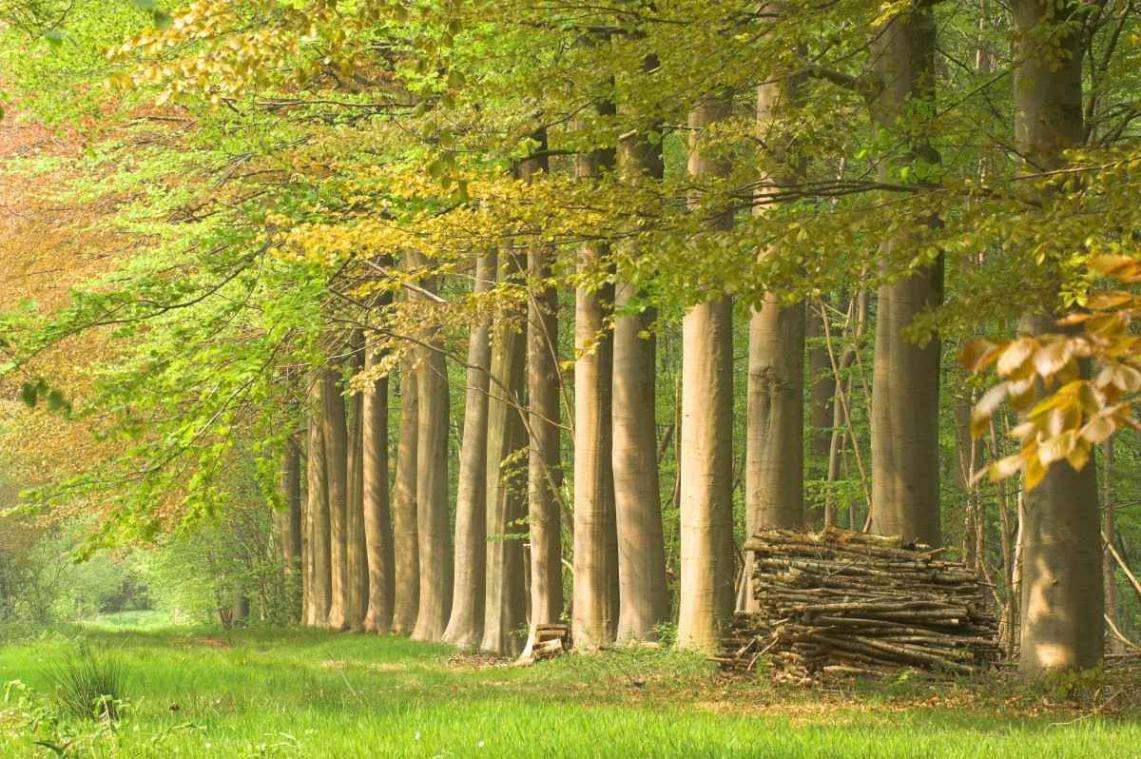 Lui weekend in het vooruitzicht? Deze tips helpen je uit de zetel